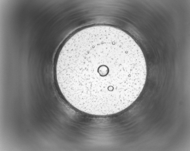 X0000071830836200607072207