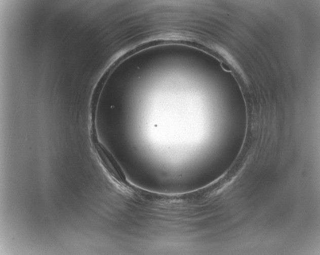 X0000071830837200607072207