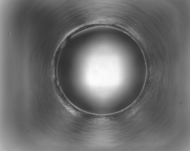 X0000071830838200607072207