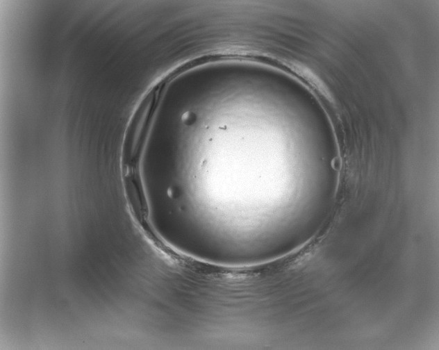 X0000071830839200607072207