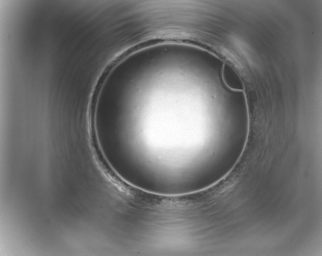 X0000071830840200607072207