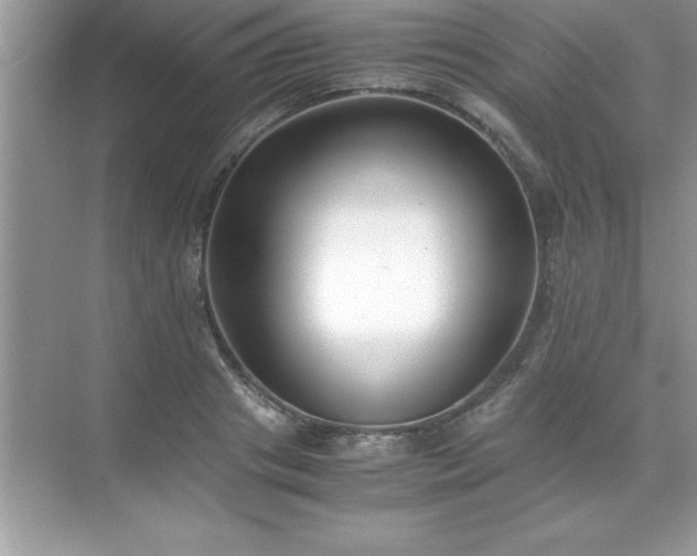 X0000071830841200607072207