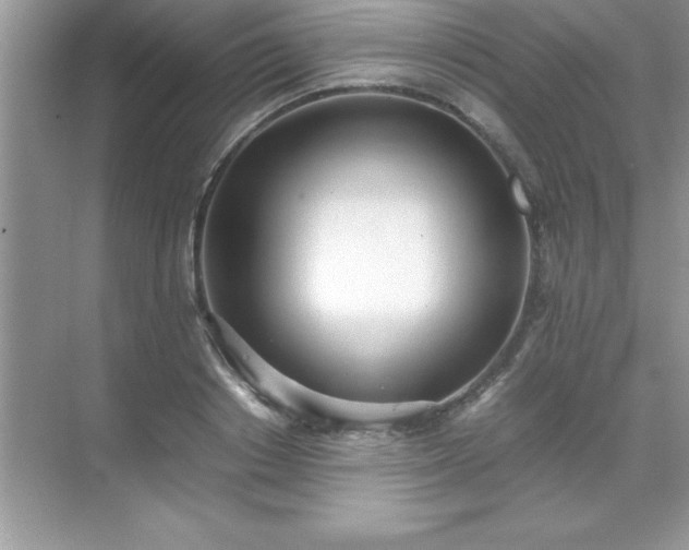 X0000071830842200607072208