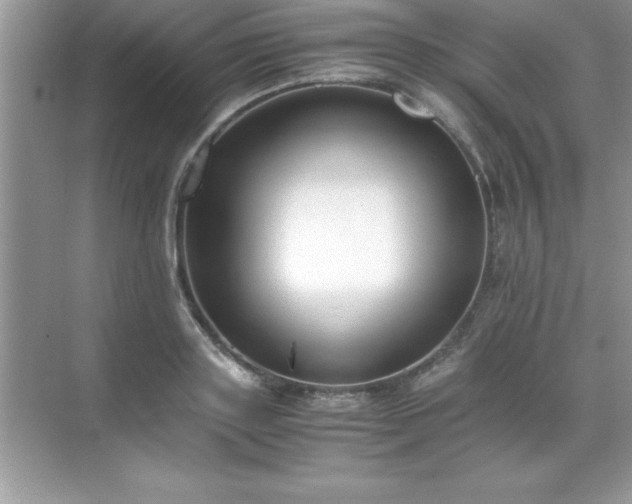 X0000071830843200607072208