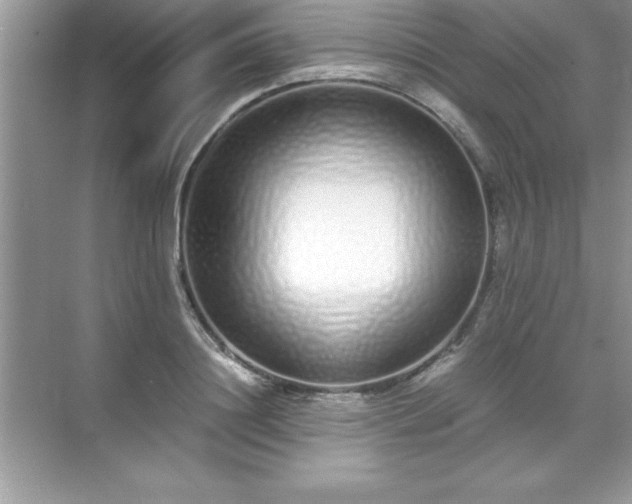 X0000071830844200607072208