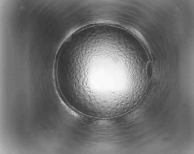 X0000071830847200607072208