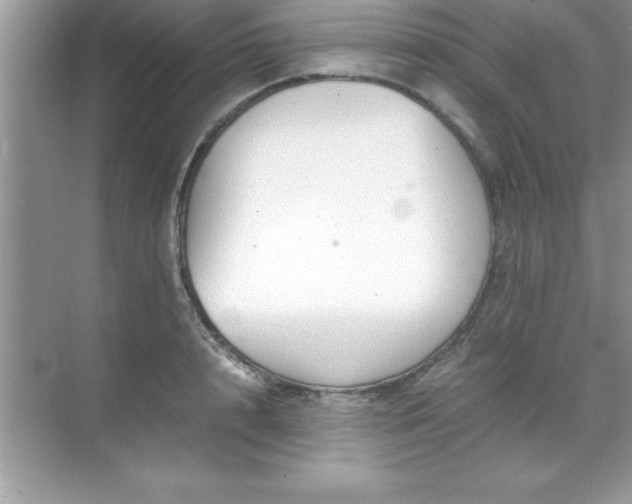 X0000071830848200607072208