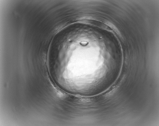 X0000071830849200607072208