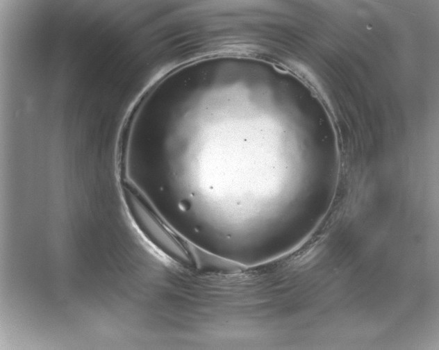 X0000071830851200607072208