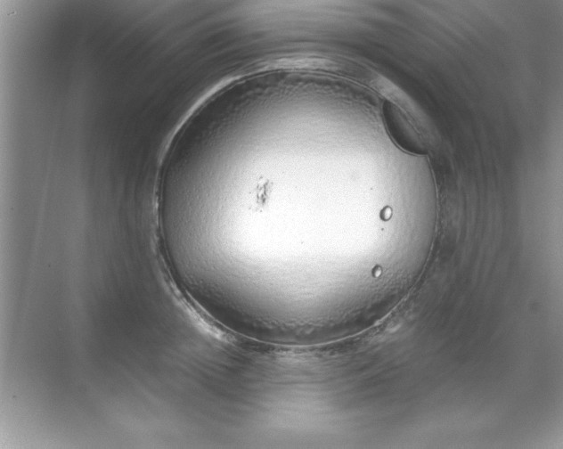 X0000071830852200607072208