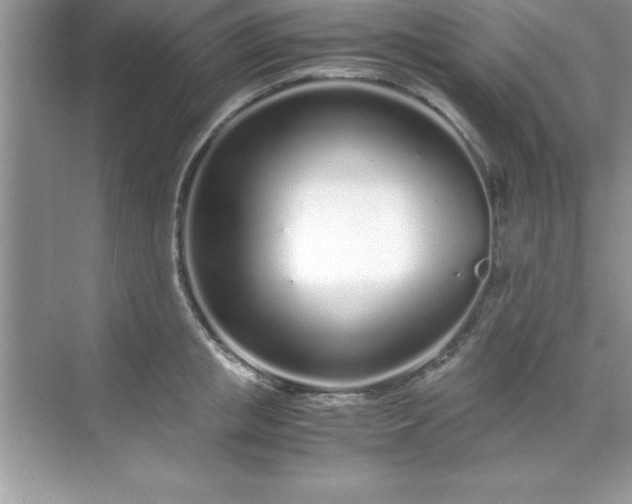 X0000071830853200607072208