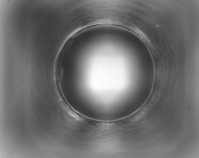 X0000071830854200607072208