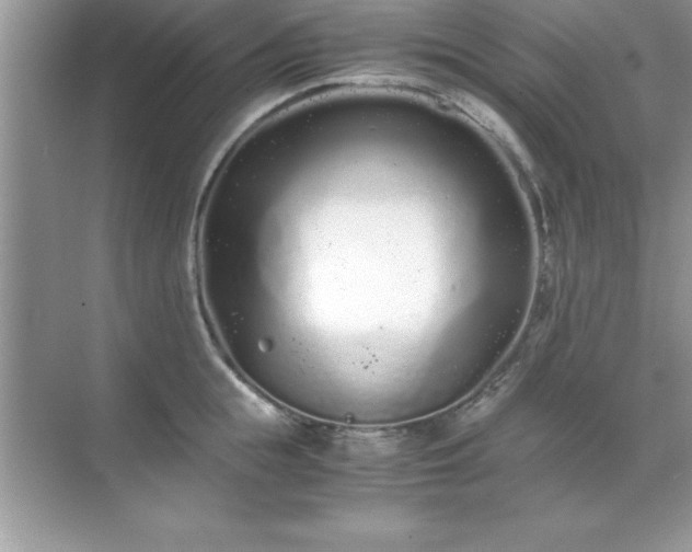 X0000071830855200607072208