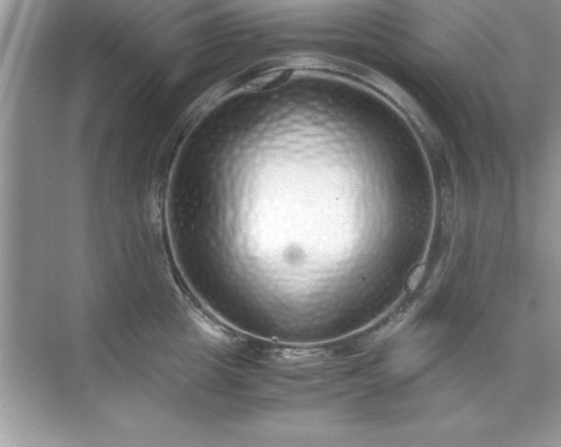 X0000071830857200607072208