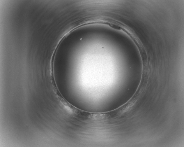 X0000071830858200607072208