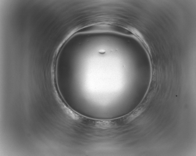 X0000071830859200607072208