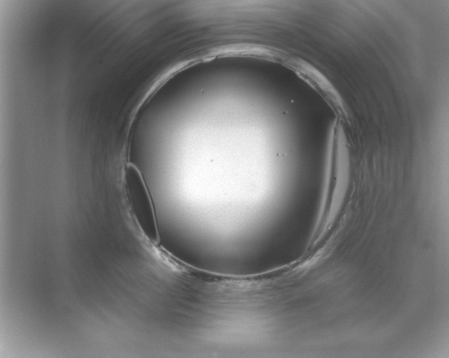 X0000071830860200607072208