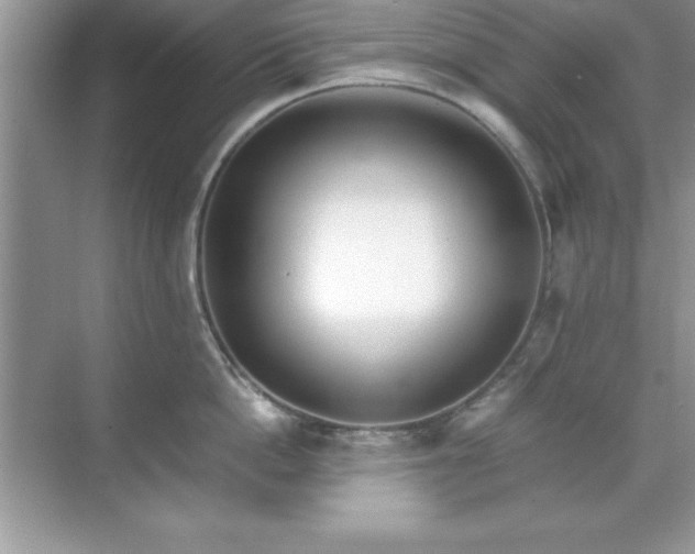 X0000071830862200607072208