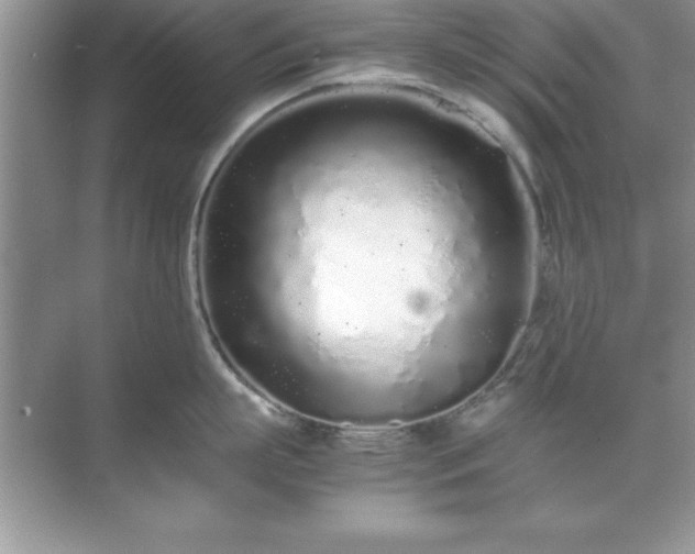 X0000071830863200607072208