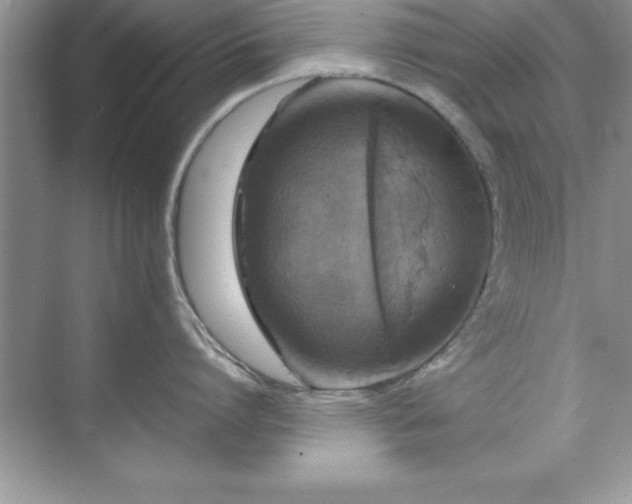 X0000071830864200607072208