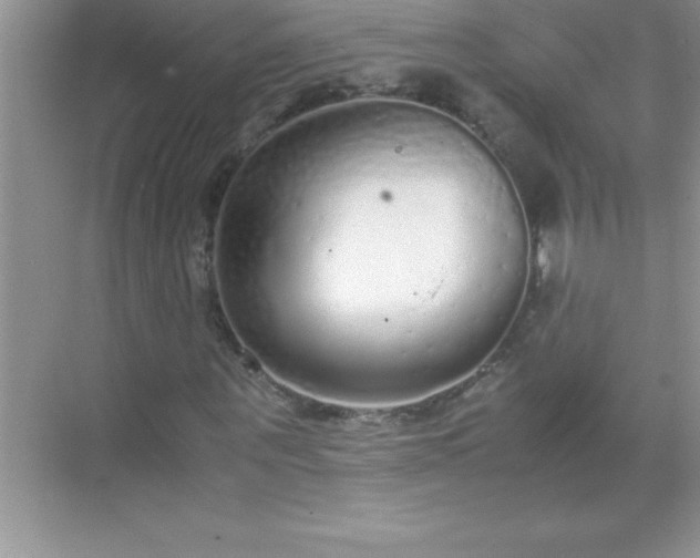 X0000071830867200607072207