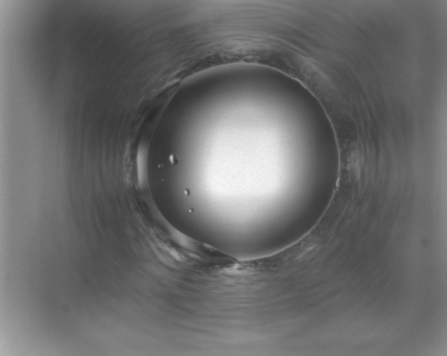 X0000071830868200607072207