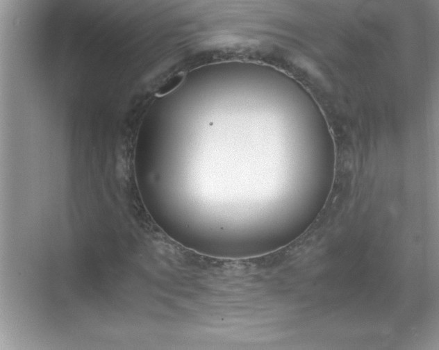 X0000071830869200607072207