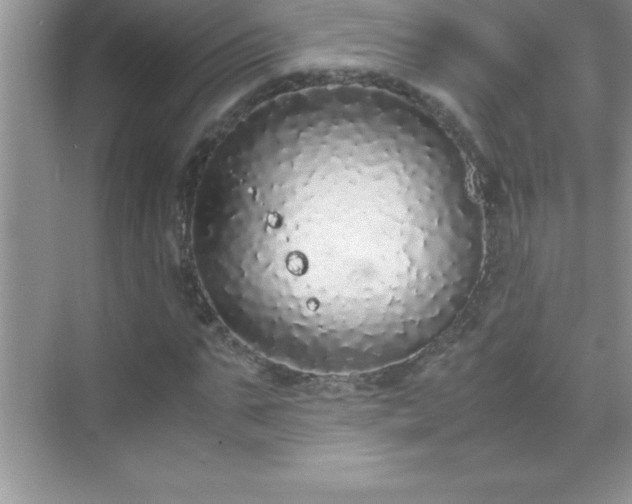 X0000071830871200607072207