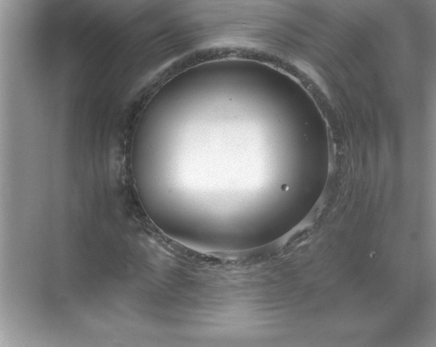 X0000071830872200607072207