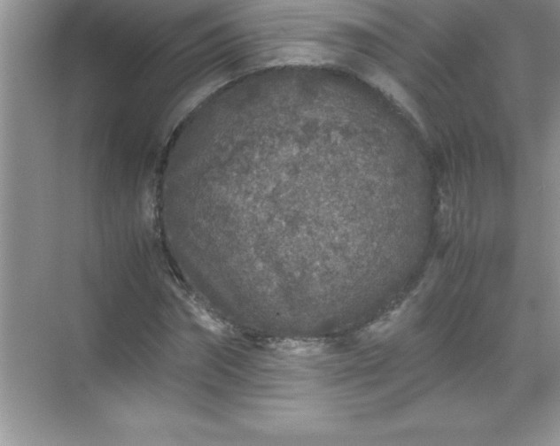 X0000071830874200607072207