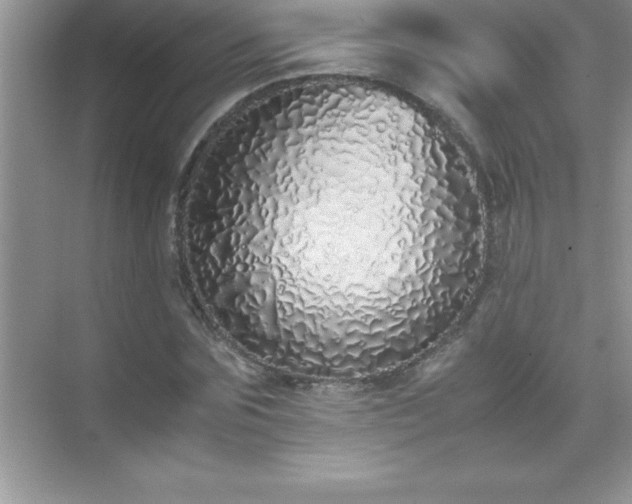 X0000071830875200607072207