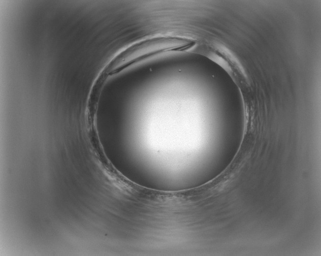 X0000071830876200607072207