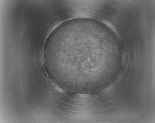 X0000071830878200607072207