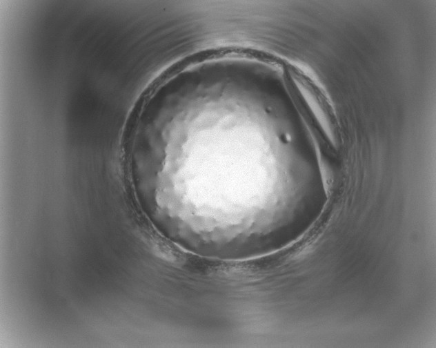 X0000071830879200607072207