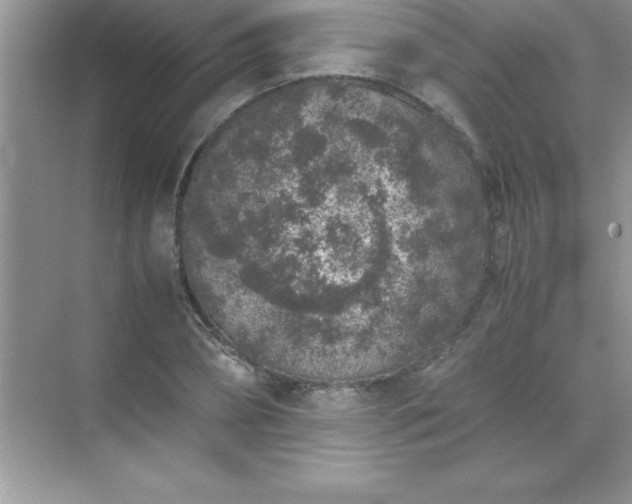 X0000071830882200607072207