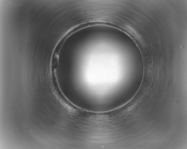 X0000071830884200607072207