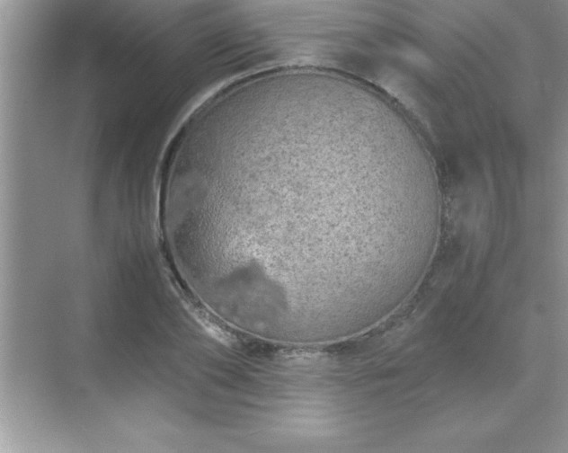 X0000071830886200607072207