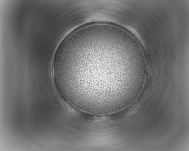 X0000071830887200607072207