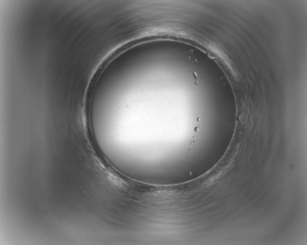 X0000071830888200607072207