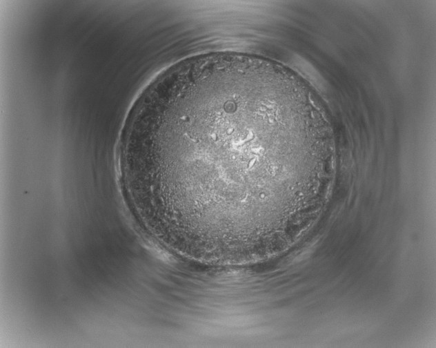 X0000071830891200607072207