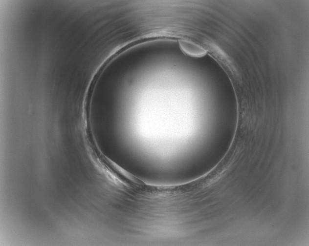 X0000071830892200607072207