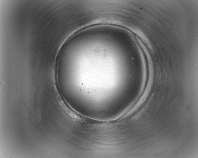 X0000071830896200607072207