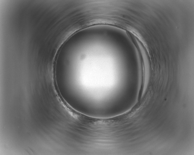 X0000071830898200607072207