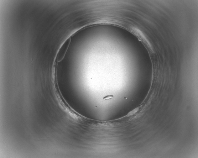 X0000071830900200607072206