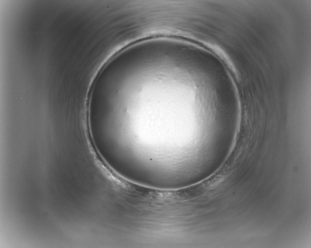 X0000071830903200607072206