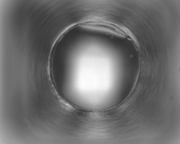 X0000071830904200607072206