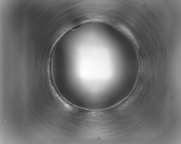 X0000071830906200607072206