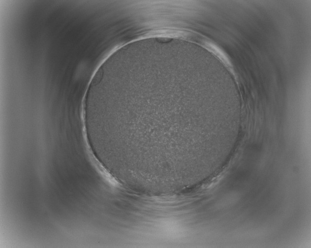 X0000071830907200607072206