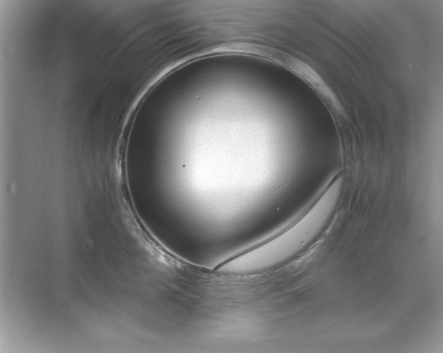 X0000071830908200607072206