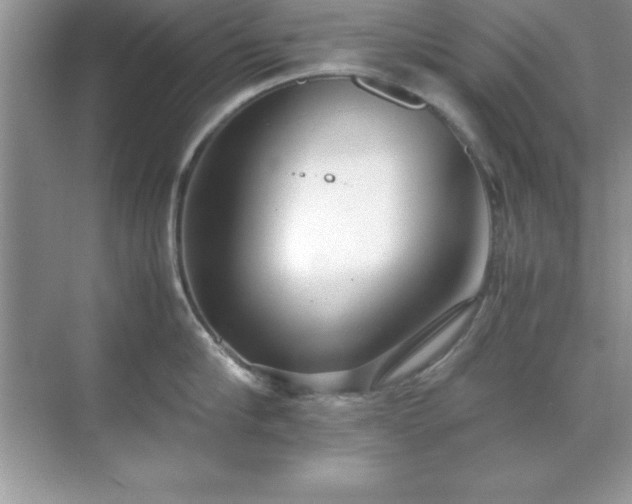 X0000071830910200607072206